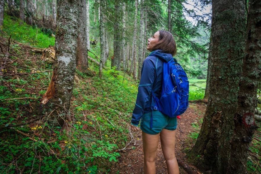 Quels sont les bienfaits du bain de forêt pour les sportifs ?